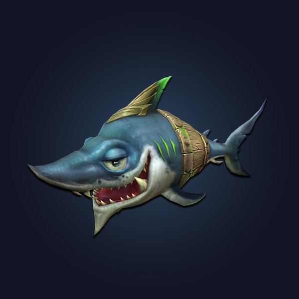 Summer 2022 pet 4