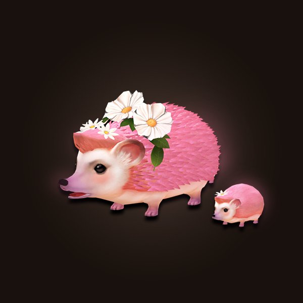 Hedgehog family pet