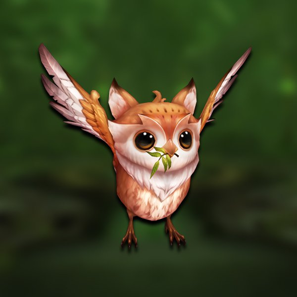 Little druid's owl