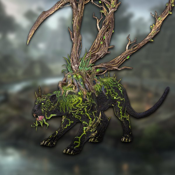 Rootbound panther