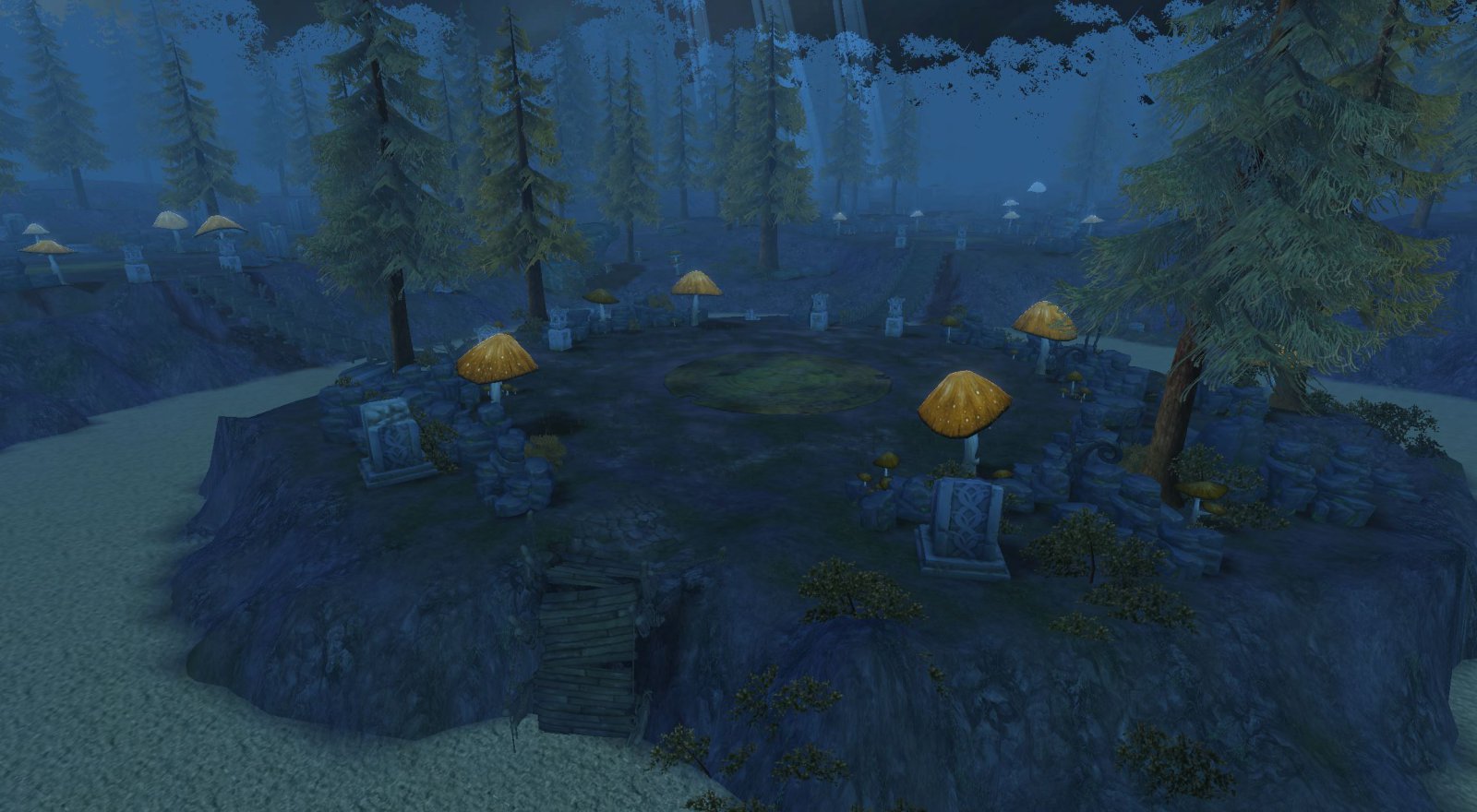 Midnight forest