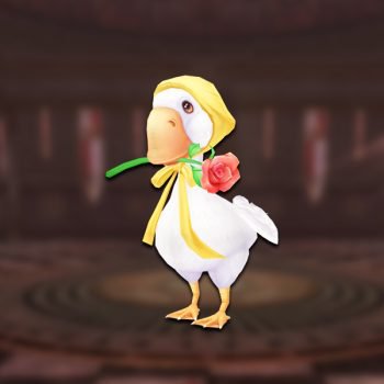 Monsieur Quack