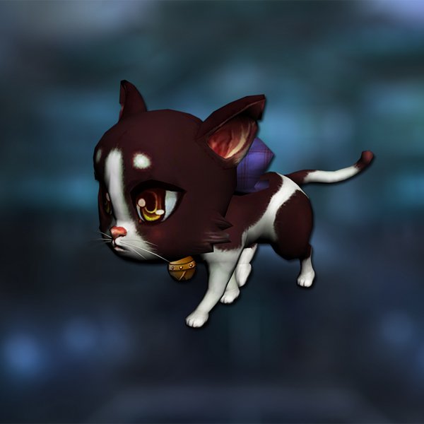 Cute cat 1