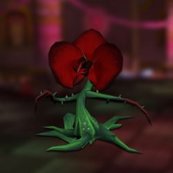 Fallen rose