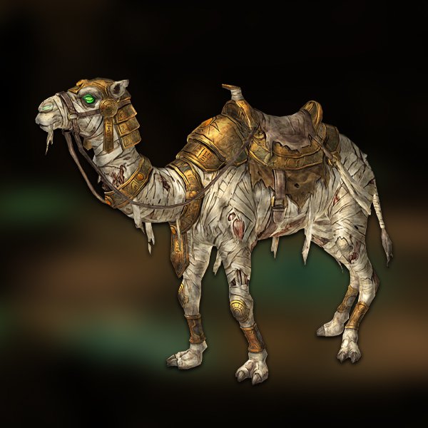 Ancient mummy camel