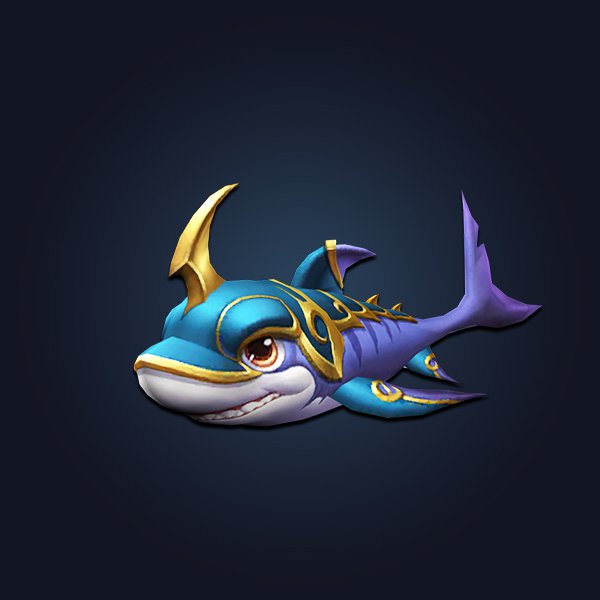 Summer 2022 pet 2