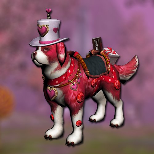 Valentine dog