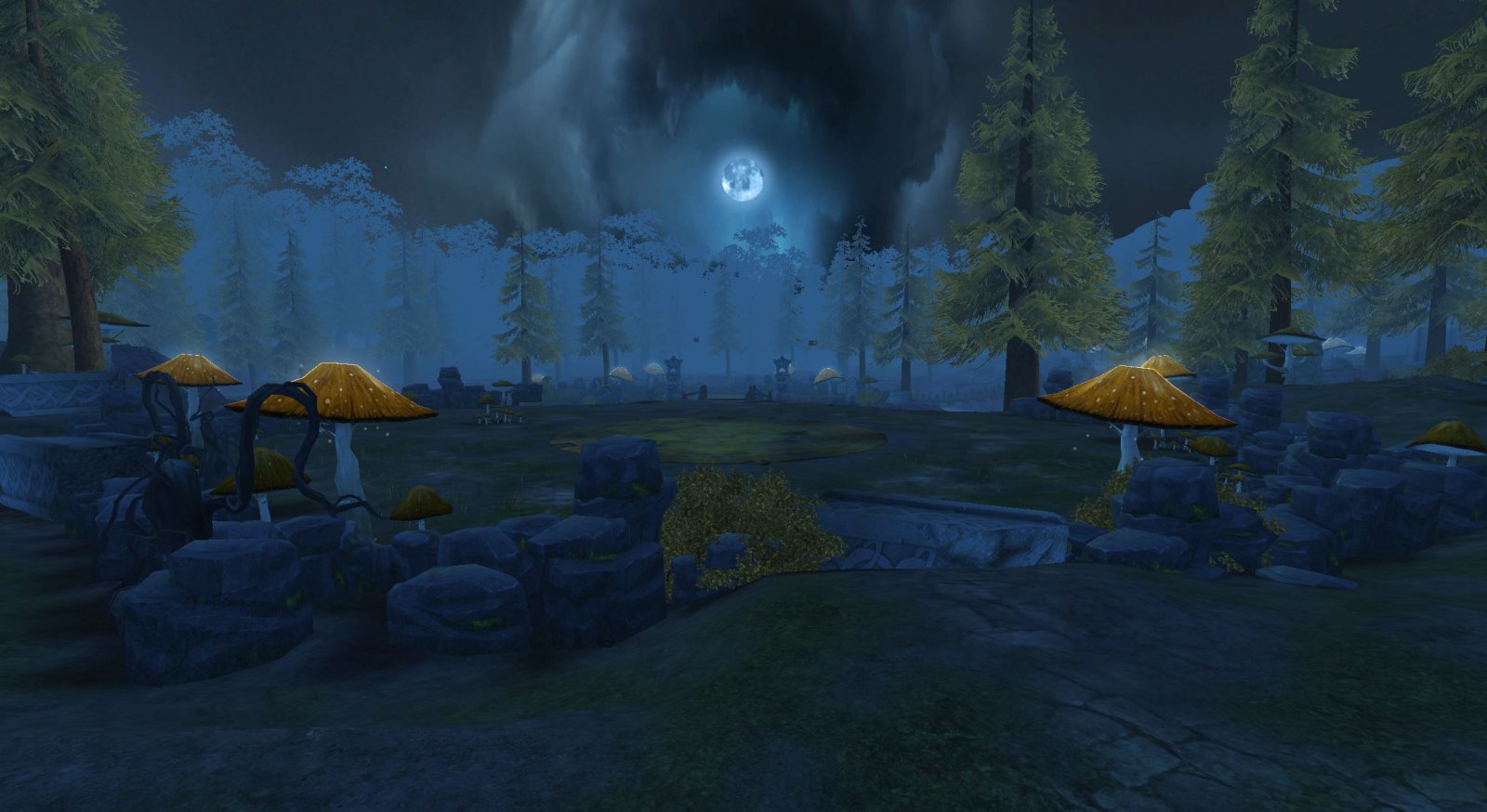 Midnight forest