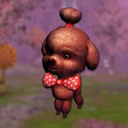 Sweet dog