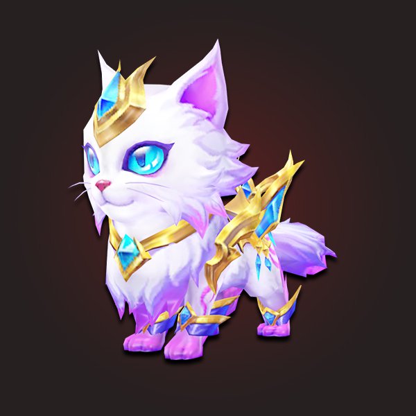 Queen cat pet