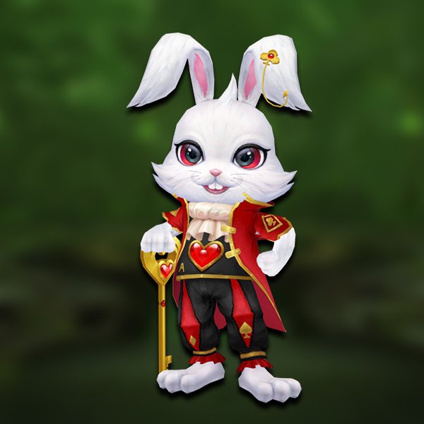 Little rabbit magician
