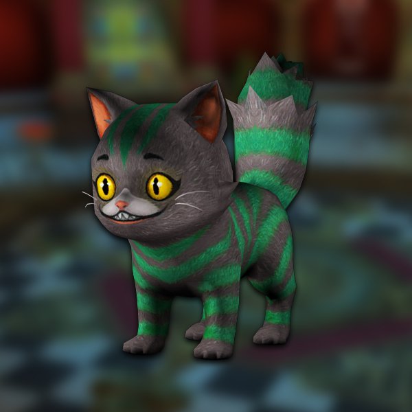 Young chesire cat